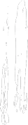 brush stroke line 01